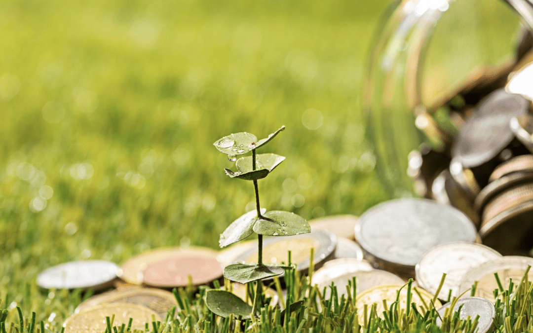Inversiones Verdes: Rentabilidad para un Futuro Mejor